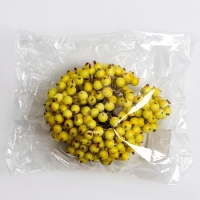 Новый год! Декоративные ягодки, жёлтые, 7 &times; 6 &times; 7 см, 40 ягод