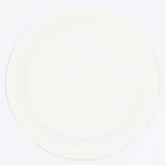 Тарелки бумажные, 6 шт., цвет чёрный