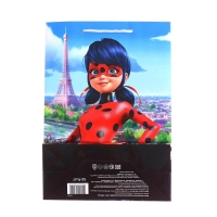 Пакет подарочный &laquo;Леди Баг и Супер-Кот&raquo;, 220х310х100, голубой