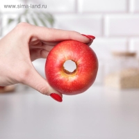 Нож для сердцевины Доляна &laquo;Металлик&raquo;, 21 см, цвет серебристый