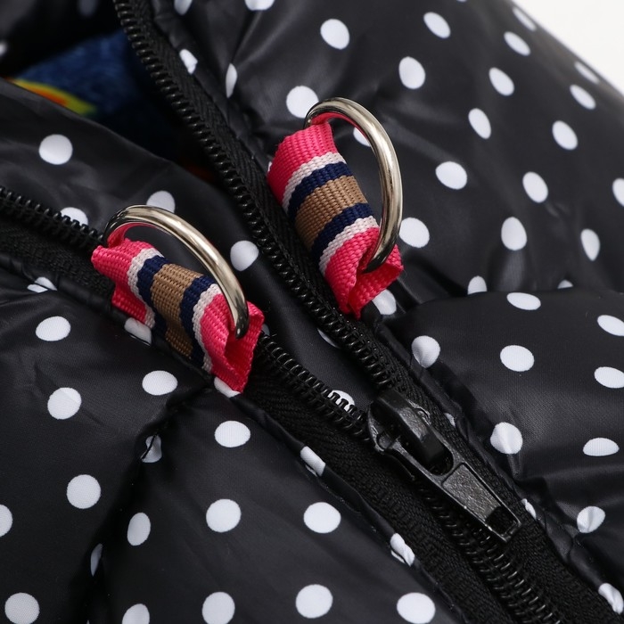 Комбинезон для собак Комбинезон для собак "Горошек", размер 10 (ДС 25, ОГ 34, ОШ 24 см), чёрный