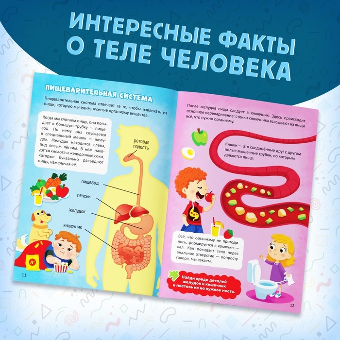 Набор &laquo;Моё тело&raquo;, мегапазл с обучающей книгой