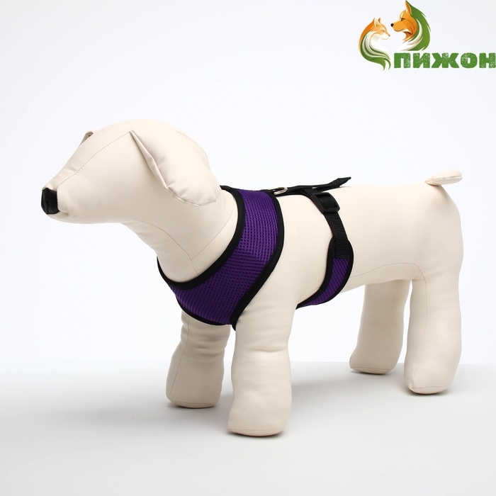 Шлейка мягкая из неопрена, размер L, ОШ 39 см, ОГ 36-46 см, фиолетовая Шлейка мягкая из неопрена, размер L, ОШ 39 см, ОГ 36-46 см, фиолетовая