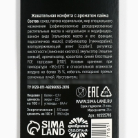 Конфеты жевательные &laquo;Самому главному душниле&raquo;, 1 шт х 25 г