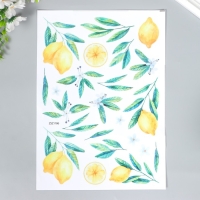 Наклейка пластик интерьерная цветная "Лимоны" набор 2 листа 25х35 см Наклейка пластик интерьерная цветная "Лимоны" набор 2 листа 25х35 см