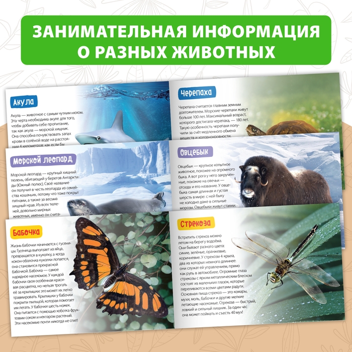 Обучающие книги набор &laquo;Удивительный мир&raquo; 6 шт. по 20 стр.