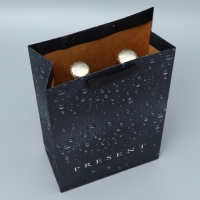 Пакет подарочный под две бутылки, упаковка, Black, 35 х 20 х 9 см Пакет подарочный под две бутылки, упаковка, Black, 35 х 20 х 9 см