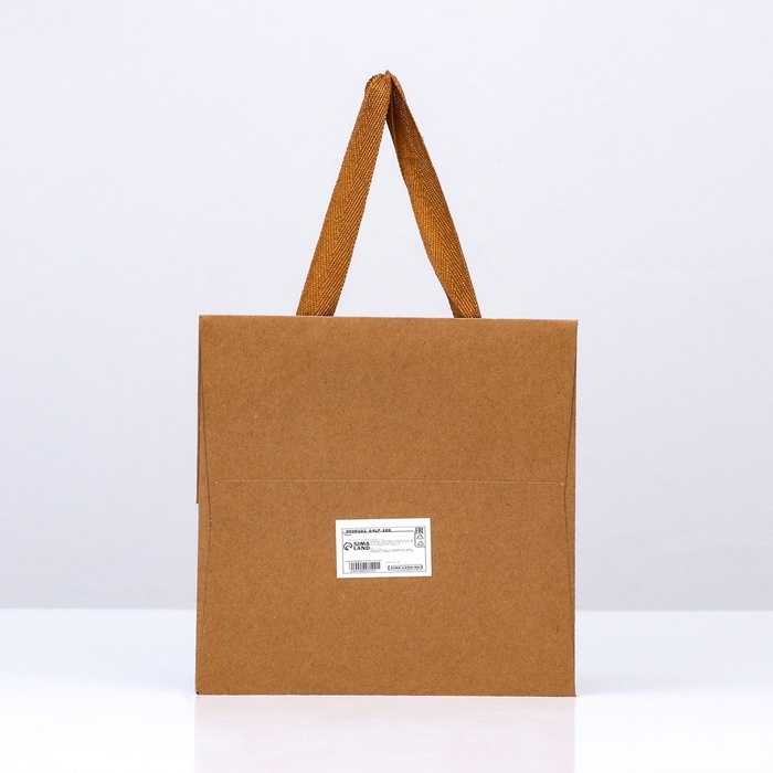 Пакет подарочный, крафт, с окном, 20 х 20 х 20 см