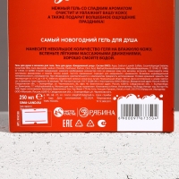 Подарочный набор косметики «С Новым Годом!», гель для душа 250 мл и мочалка для тела, ЧИСТОЕ СЧАСТЬЕ Подарочный набор косметики «С Новым Годом!», гель для душа 250 мл и мочалка для тела, ЧИСТОЕ СЧАСТЬЕ