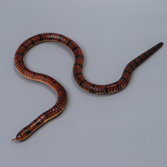 Деревянная игрушка &laquo;Змея&raquo;, 100 &times; 2 &times; 2 см