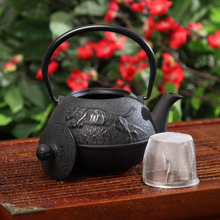 Чайник для плиты Доляна &laquo;Чёрный тигр&raquo;, 700 мл, с ситом, чугун, эмалированное покрытие внутри, индукция, цвет чёрный