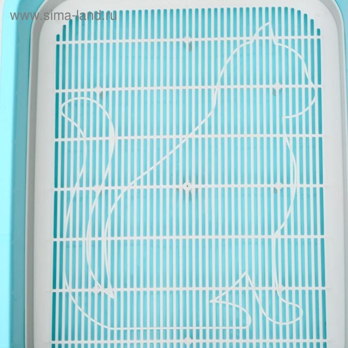 Туалет Туалет "Мур-мяу" для кошек, с сеткой, 33,2 х 25,6 х 7,2 см голубой