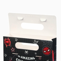 Пакет-коробка "Amazing", Человек-паук, 24х20х7 см Пакет-коробка "Amazing", Человек-паук, 24х20х7 см
