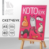 Скетчбук &laquo;Котобук&raquo; А5, 40 л, 100 г/м