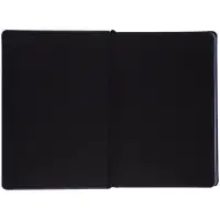 Ежедневник Alanis, недатированный, черный c синим