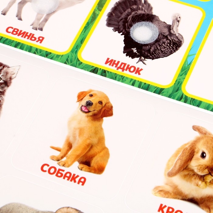 Развивающая игра на липучках &laquo;&lrm;Животные фермы&raquo;,&lrm; по методике Г. Домана