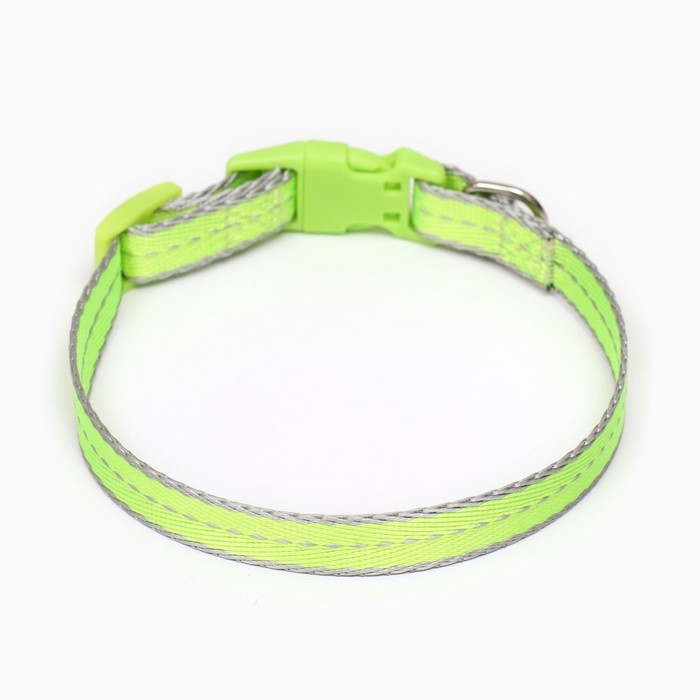 Ошейник Ошейник "Неон" 24-36 х 1,5 см, зелёный