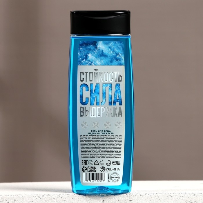 Гель для душа &laquo;Стойкость, Сила, Выдержка&raquo;, 250 мл, аромат ледяной свежести, Новый Год