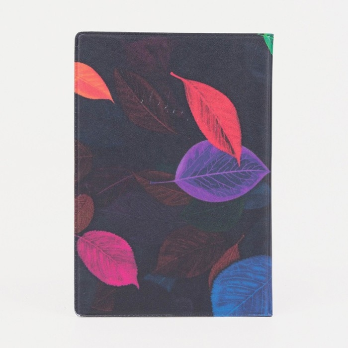 Обложка для паспорта, цвет разноцветный