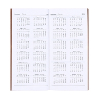 Еженедельник датированный 2025 года, 80х165 мм, 64 листа ESCALADA, мягкая обложка из искусственной кожи, блинтовое тиснение, блок 70 г/м², бежевый Еженедельник датированный 2025 года, 80х165 мм, 64 листа ESCALADA, мягкая обложка из искусственной кожи, блинтовое тиснение, блок 70 г/м², бежевый