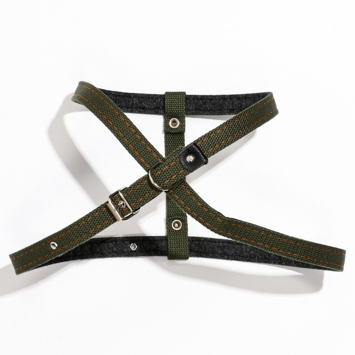 Шлейка брезентовая на фетре, восьмерка, регулируемая,2 см,ОШ 36-56см,ОГ 54-62 см, т. зелёная Шлейка брезентовая на фетре, восьмерка, регулируемая,2 см,ОШ 36-56см,ОГ 54-62 см, т. зелёная