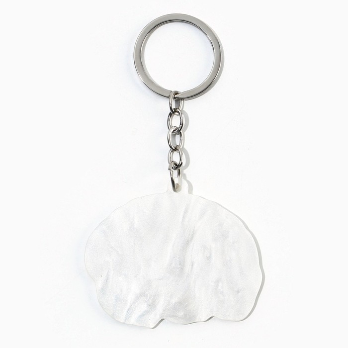 Брелок для ключей акриловый &laquo;Выношу мозг&raquo;, 5 х 6 см