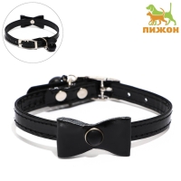 Ошейник "Сияние" с бусиной и бубенчиком, 29 х 1 см, ОШ 21-26, чёрный Ошейник "Сияние" с бусиной и бубенчиком, 29 х 1 см, ОШ 21-26, чёрный