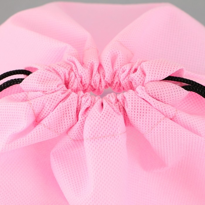 Мешок для обуви &laquo;Время котиков&raquo; нетканное полотно, размер 30 х 40 см