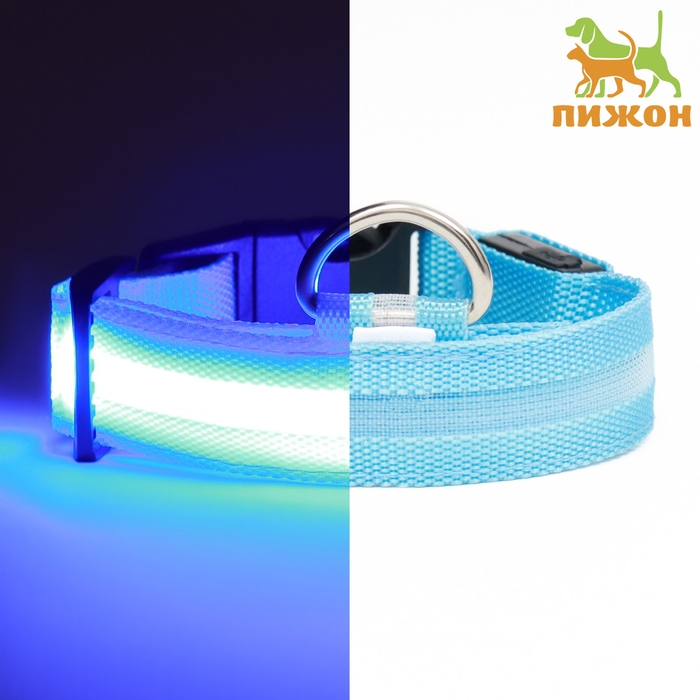 Ошейник с подсветкой размер М, ОШ 40-48 х 2,5 см, 3 режима свечения голубой Ошейник с подсветкой размер М, ОШ 40-48 х 2,5 см, 3 режима свечения голубой