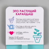 Растущие подарочные карандаши mini "Мята"