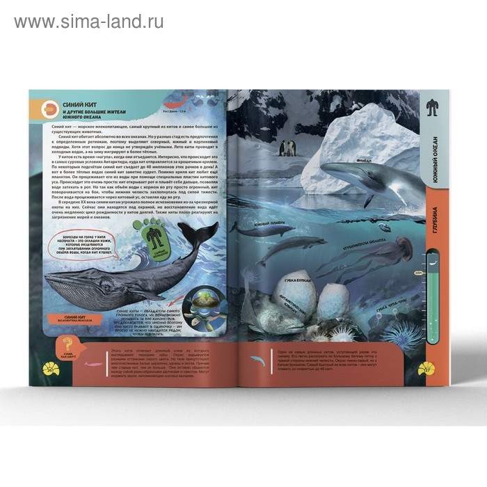 Энциклопедия 4D в дополненной реальности &laquo;Подводные жители&raquo;