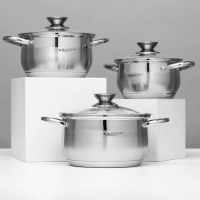 Набор кастрюль &laquo;Диана&raquo;, 3 предмета: 1,8 л, 2,5 л, 3,5 л, крышки, капсульное дно, индукция