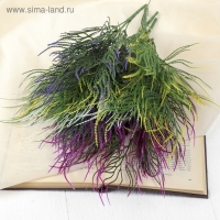 Букет "Пырей" 35 см, микс Букет "Пырей" 35 см, микс