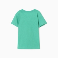 Футболка для мальчика, цвет зелёный, рост 140 Футболка для мальчика, цвет зелёный, рост 140