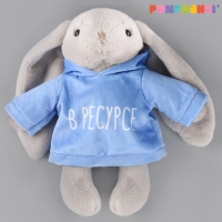 Мягкая игрушка Зая &laquo;В ресурсе&raquo;