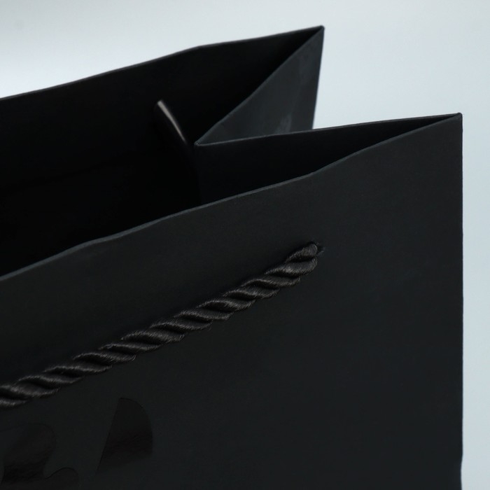 Пакет подарочный, упаковка, &laquo;Герб&raquo;, MS 18 х 23 х 12 см