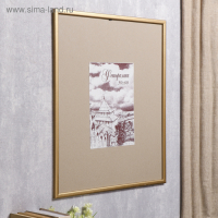 Фоторамка сосна с19 золото 50х60 см (пластиковый экран) Фоторамка сосна с19 золото 50х60 см (пластиковый экран)