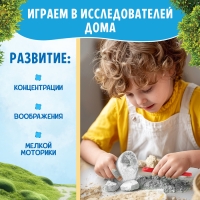 Набор для раскопок &laquo;Жители фермы&raquo;