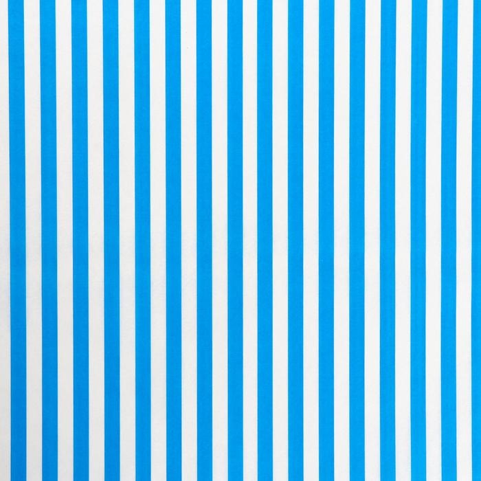 Бумага силиконизированная &laquo;Полоски&raquo;, голубые, для выпечки, 0,38 х 5 м