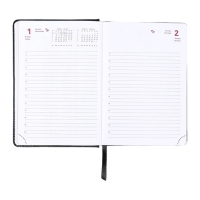 Ежедневник датированный 2025 B6 168 листов, deVENTE. Wild, твердая обложка кожзам с поролоном, перфорация, ляссе, блок 70,черный