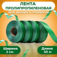 Лента полипропиленовая "Matte" для декора и подарков, зелёная, 2 см х 50 м Лента полипропиленовая "Matte" для декора и подарков, зелёная, 2 см х 50 м