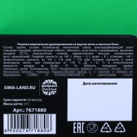 Жевательная резинка &laquo;Я в моменте&raquo; в блистере, 7 г.