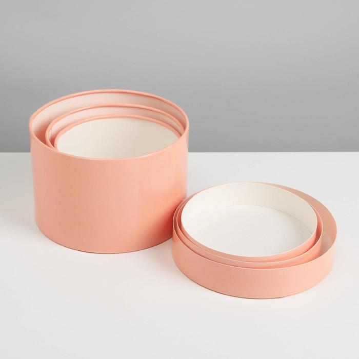 Набор шляпных коробок 3 в 1 пудровый, упаковка подарочная, 16 х 10, 14 х 9, 13 х 8,5 см