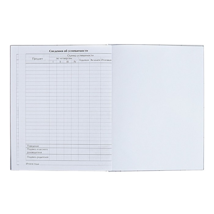 Дневник универсальный для 1-11 классов "Аниме. Парень и небо", твёрдая обложка, глянцевая ламинация, 40 листов