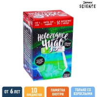 Набор для опытов &laquo;Новогоднее чудо&raquo;