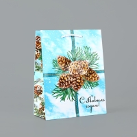 Пакет подарочный новогодний ламинированный &laquo;С Новым годом&raquo;, шишки, MS 18 х 23 х 8 см, Новый год