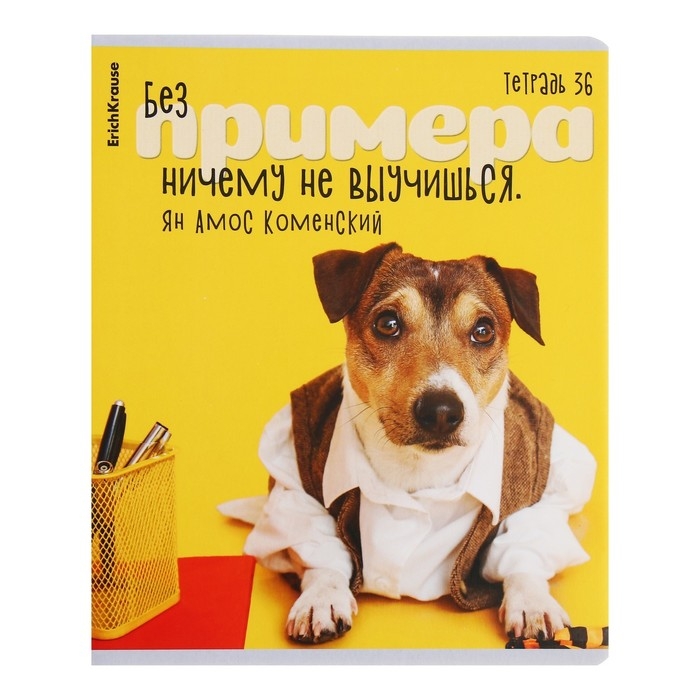 Тетрадь 36 листов в клетку, ErichKrause Тетрадь 36 листов в клетку, ErichKrause "Ученые собаки", обложка мелованный картон, блок офсет 100% белизна, МИКС