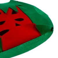 Карнавальный набор &laquo;Забавный арбуз&raquo;, фетр