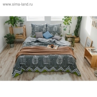 Постельное бельё "Этель" 1.5 сп Ушастые совы (вид 1) 143 х 215 см,150 х 214 см, 70 х 70 - 2 шт