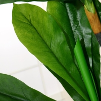 Дерево искусственное "Фикус лировидный" 160 см Дерево искусственное "Фикус лировидный" 160 см